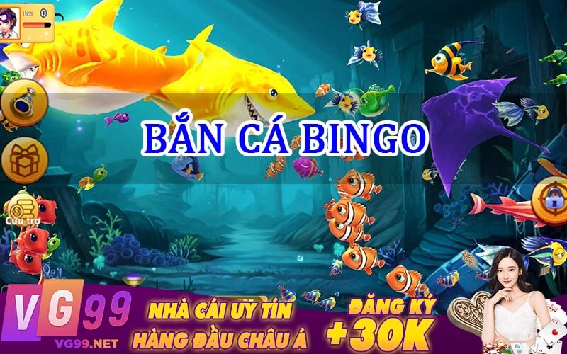 bắn cá bingo
