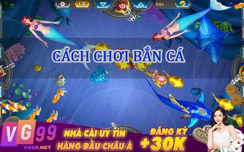 cách chơi bắn cá bingo