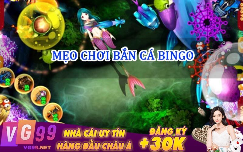 mẹo chơi bắn cá bingo 