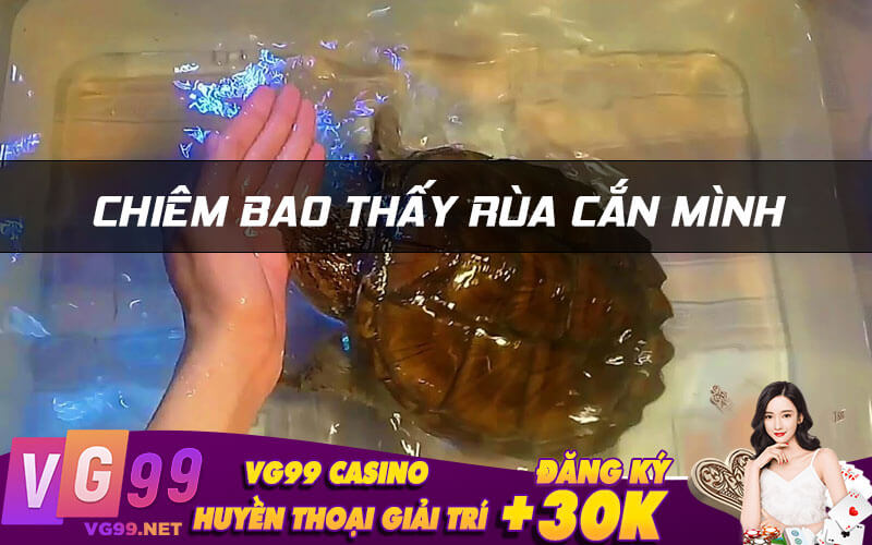Chiêm bao thấy rùa cắn mình
