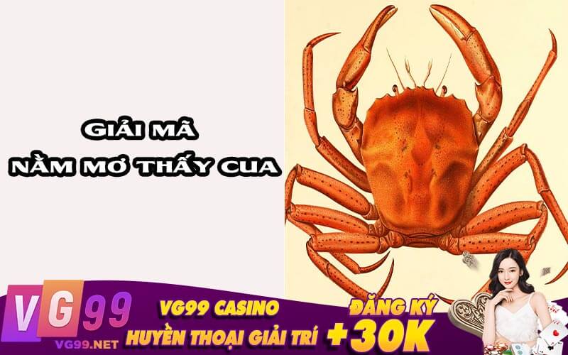 Giải Mã Giấc Mơ Thấy Cua