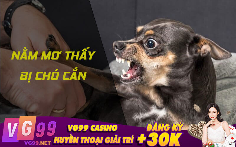 Nằm mơ thấy bị chó cắn