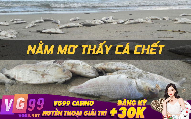 Nằm mơ thấy cá chết