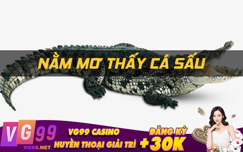 Nằm mơ thấy cá sấu
