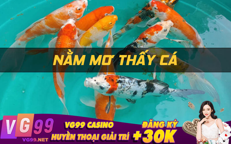 Nằm mơ thấy cá