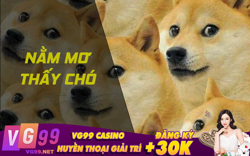 Nằm mơ thấy chó