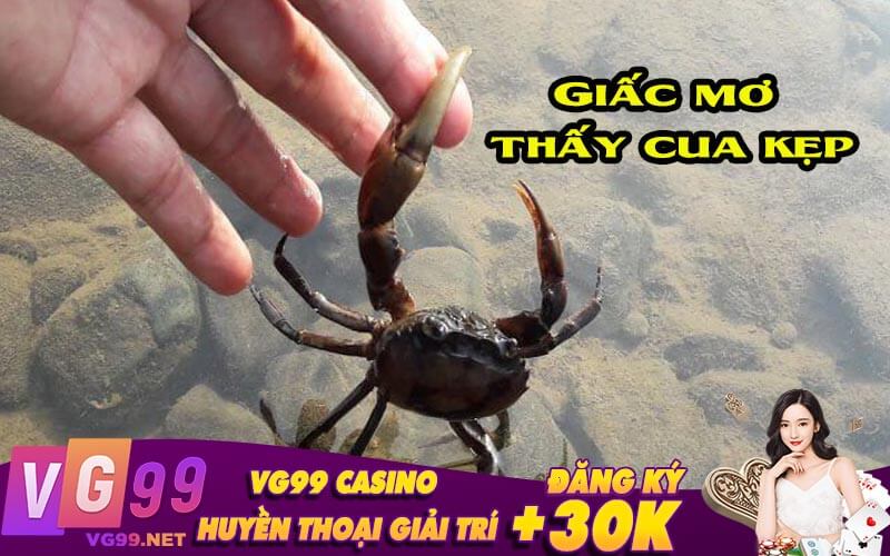 Nằm Mơ Thấy Cua Kẹp Tay
