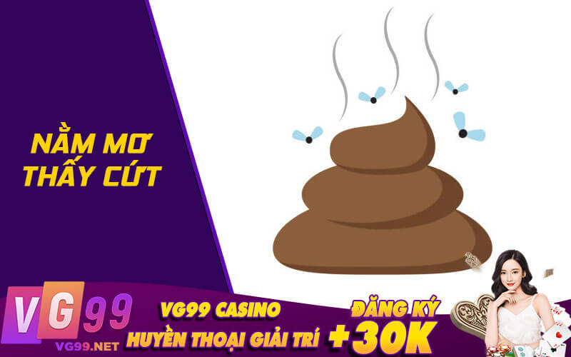 Nằm mơ thấy cứt