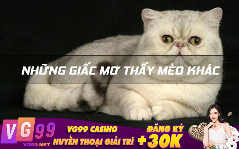 Những giấc mơ thấy mèo khác