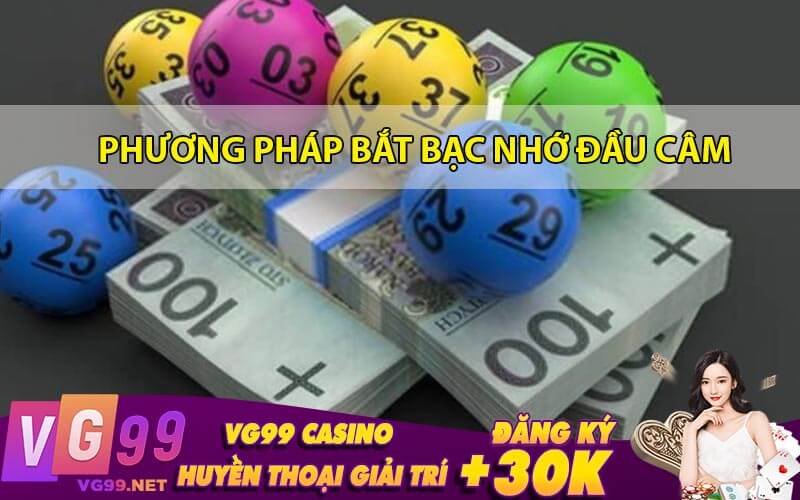 Phương Pháp Bắt Bạc Nhớ Đầu Câm 