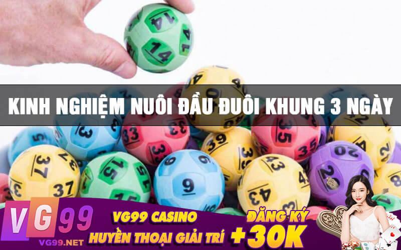 Kinh nghiệm nuôi đầu đuôi khung 3 ngày
