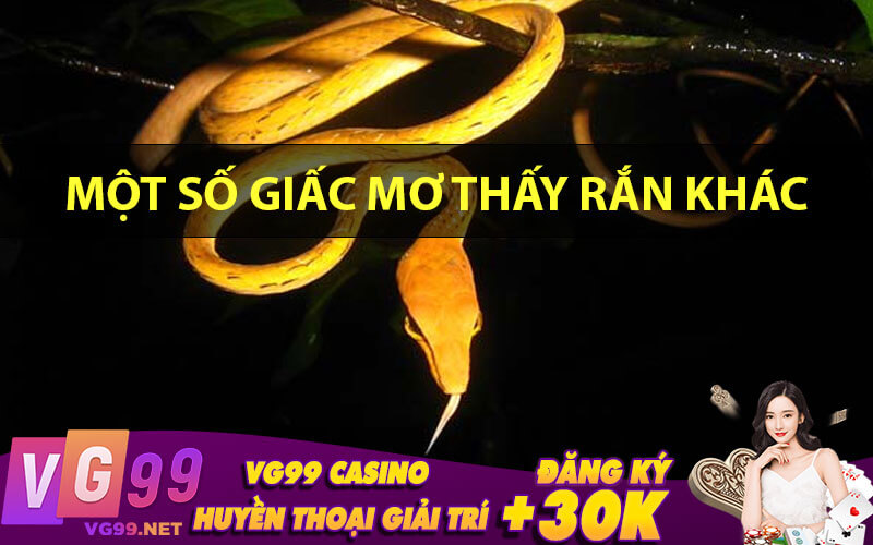 Một số giấc mơ thấy rắn khác