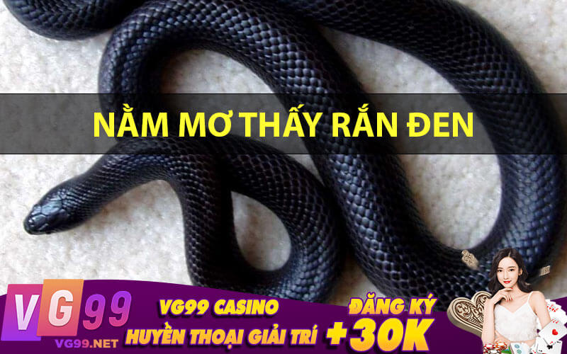 Nằm mơ thấy rắn đen