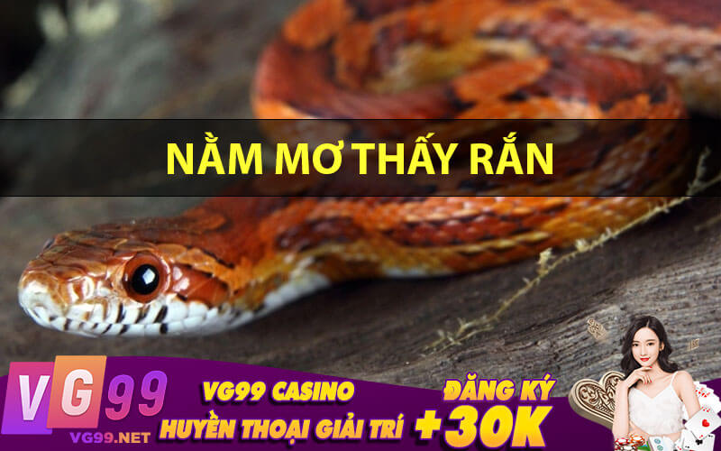 Nằm mơ thấy rắn